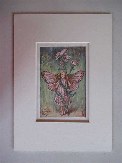 Flower Fairiesfairy The Yarrow Fairy Summer Fairy Vintage Print