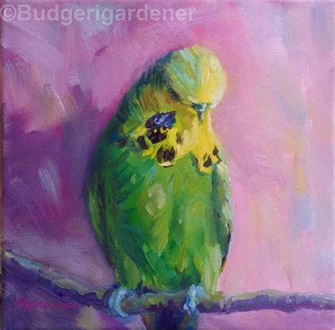 Parakeet Painting At Explore Collection Of