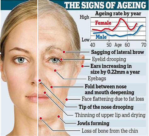How The Loss Of Sex Hormone Oestrogen Causes A Womans Face To Age Faster Than A Man Daily