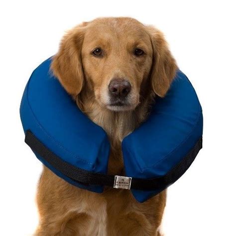If your dog hates wearing a plastic cone (elizabethan collar), give this diy comfy dog cone a try. 7 Alternatives to the "Cone of Shame" | Dog cone ...
