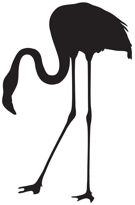 Flamingo Clipart Black And White Free Download On Clipartmag
