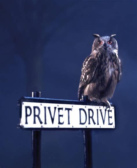 Последние твиты от google drive (@googledrive). Privet Drive | Harry Potter Wiki | FANDOM powered by Wikia