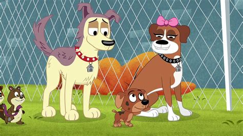 A page for describing characters: Video - Pound Puppies 2010 Season 01 Episode 17 Bone Voyage (HD 720p) | Pound Puppies 2010 Wiki ...