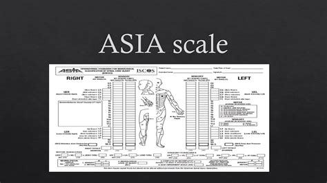 Asia Scale For Spinal Cord Injury Asia Scale Asia Impairment Scale