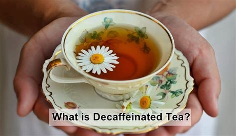 What Is Decaffeinated Tea And How Does It Taste Kitu Cafe