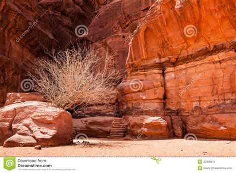 An Entrance Into The Most Cold Cave In Desert Stock Image Image Of