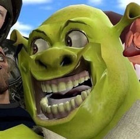 When Your Mom Sees You With A Boy She Be Like Memes Shrek Shrek Funny