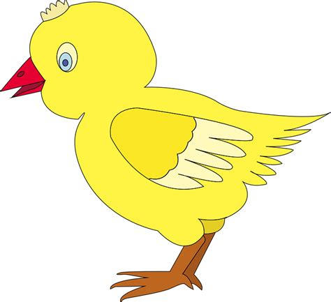 Detail Gambar Anak Ayam Animasi Koleksi Nomer 7