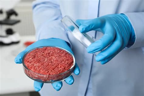 Lab Grown Meat Cost 2023