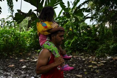 Cifra récord 40 000 niños han cruzado la selva de Darién en primera