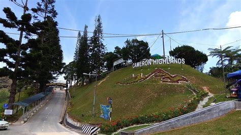 The cameron highlands is a district in pahang, malaysia, occupying an area of 712.18 square kilometres (274.97 sq mi). Latar Belakang | Portal Rasmi Majlis Daerah Cameron ...