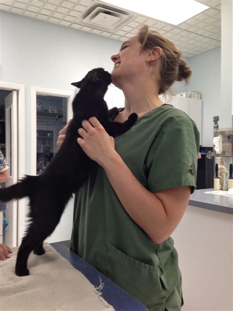 Exclusively Cats Veterinary Hospital Blog Cats And Vaccinations