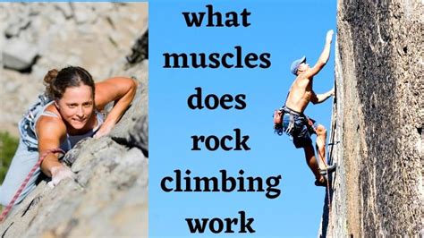 What Muscles Does Rock Climbing Work A Blog Dedicated To Aspiring