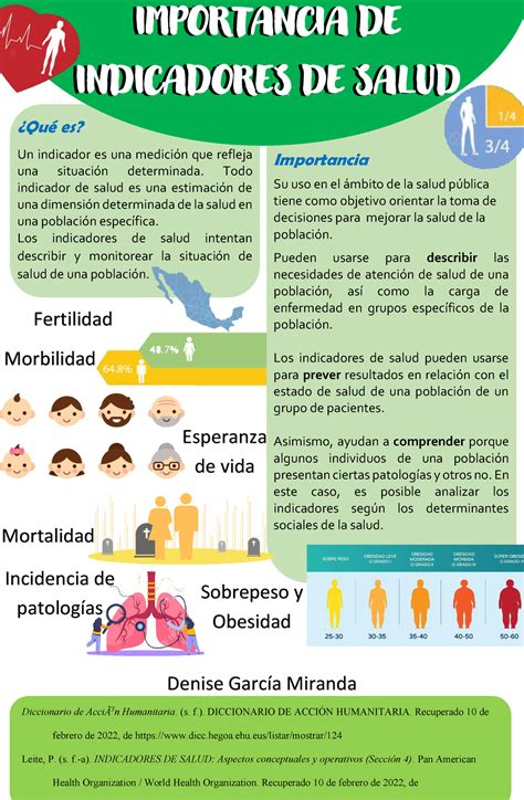 Indicadores De Salud Infografia Importancia De Indicadores De Salud