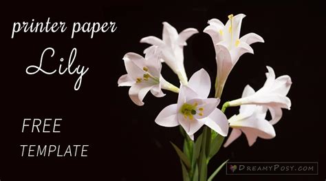 paper flowers tutorials    paper flowers