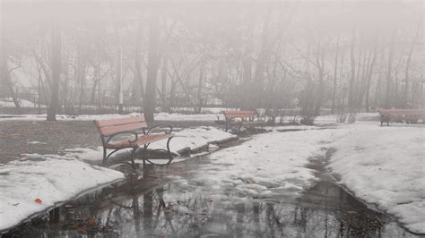 1920x1080 1920x1080 Park Benches Winter Fog Coolwallpapersme