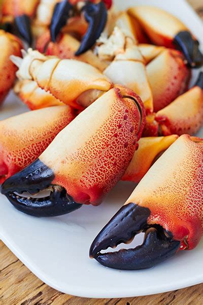 Sustainable Stone Crabs Are Here