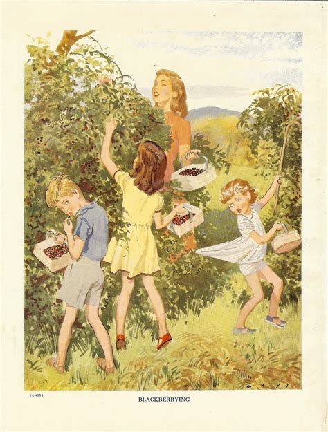 1000 Images About Vintage Childrens Book Illustrators On Pinterest