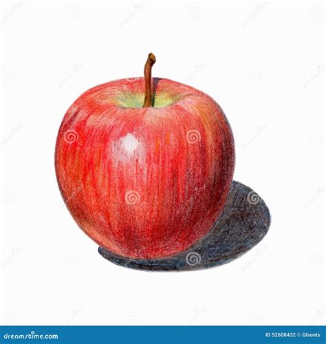 Red Apple With Shadow Isolated Fruit Drawn With Colored Pencils Stock