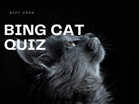 Bing Cat Quiz Test Your Knowledge On Bing Quiz