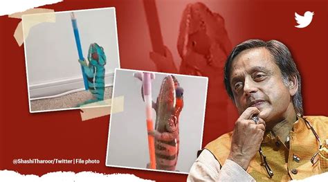 Shashi Tharoor Takes A Dig At Political Defectors With A Chameleon Video And A New Word