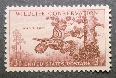 1077 mnh 1956 3¢ wild turkey wildlife conservation wisconsin franklin turkeys usa stamps