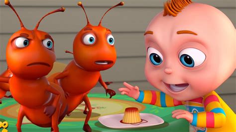 Tootoo Boy The Ants Episode Cartoon Animation For Children