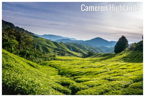 Monthly weather forecast and climate for cameron highlands, malaysia. Cameron Highlands, Malaysia - August weather forecast and ...
