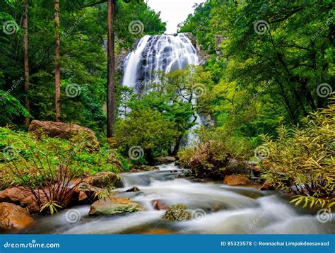 Waterfall In Thai National Park In The Deep Forest Stock Photo Image
