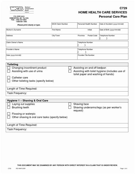 Home Health Care Plan Template New Home Health Care Plan Template
