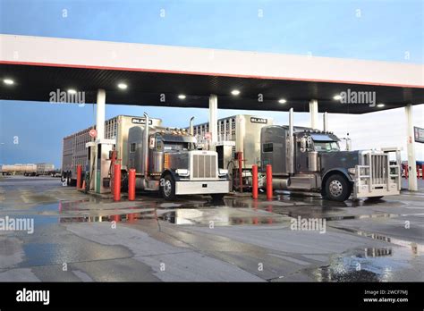 Semi-trucks (cattle haulers) filling up with diesel fuel at a Sapp
