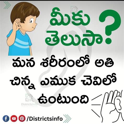 interesting facts telugu fun facts facts save