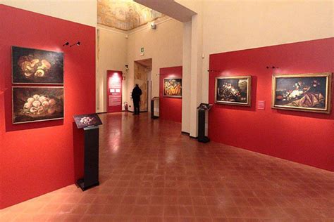 Nuovo Allestimento Per La Collezione Di Nature Morte Dei Musei Civici