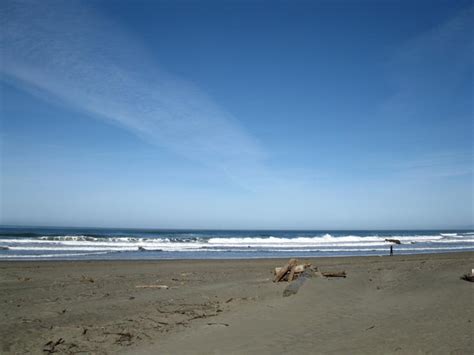Check spelling or type a new query. North Salmon Creek Beach, Sonoma Coast State Park/Sonoma ...