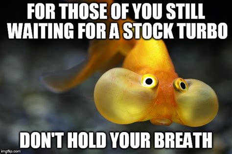Image Tagged In Hold Your Breath Goldfish Imgflip