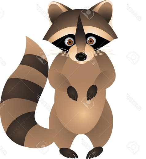 Racoon Clipart Clip Art Racoon Clip Art Transparent Free For Download