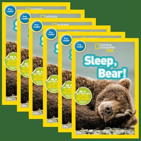 Sleep Bear Reading Group Set Leveled Books Guided Reading Books