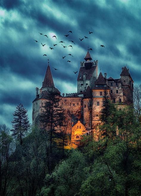 Explore The Enchanting Dracula Castle In Romania
