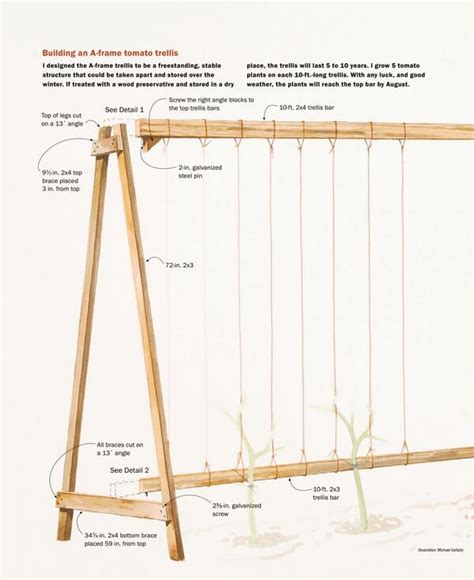 Dropbox A Frame Tomato Trellispdf Tomato Trellis Diy Garden