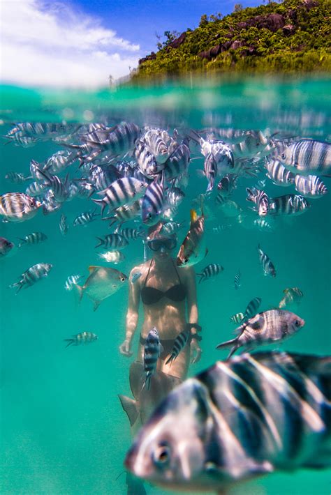 Underwater Photographer In Baie Ternay Marine Park Seychelles