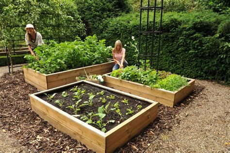 Check spelling or type a new query. Standard Wooden Raised Beds - Harrod Horticultural ...