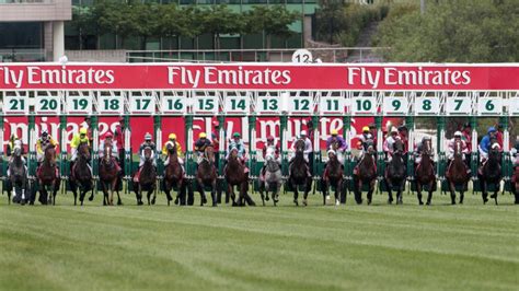 Which Horse Has Won The Melbourne Cup The Most Times Horse Racing Noise