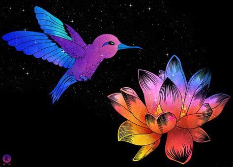 Colibrí Lotus Flower Art Flower Art Drawing Hummingbird Art