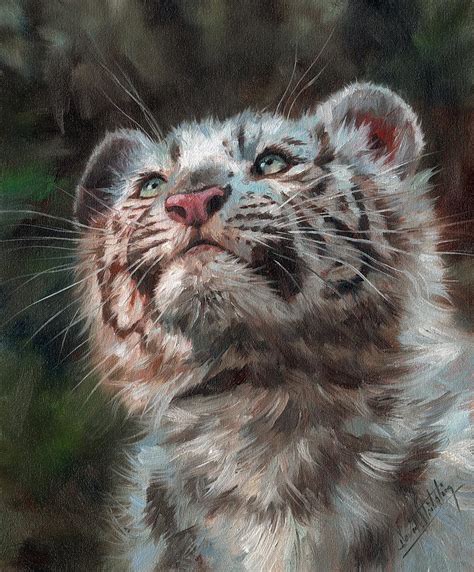 White Tiger Cub Painting By David Stribbling Fine Art America
