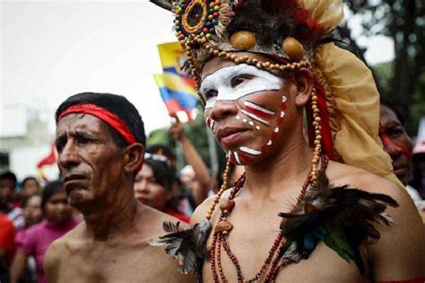 Borges Denunció Que Los Pueblos Indígenas Sufren La Proliferación De Diversas Enfermedades