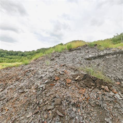 Messel Pit Fossil Site