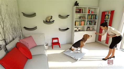 7 Top Tips For A Pet Friendly Livingroom