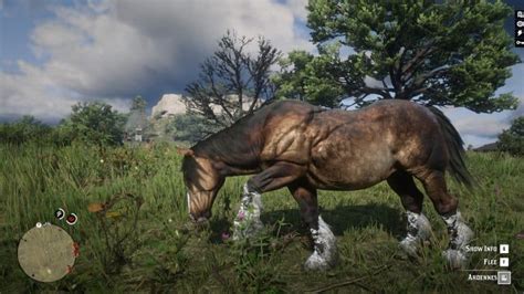 Red Dead Redemption 2 Horses Mods