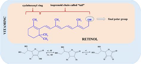 The Chemical Structures Of Retinol And Influence Of The Vitamin C On