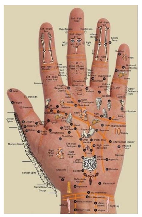 Accupressure Hand Reflexology Reflexology Reflexology Chart